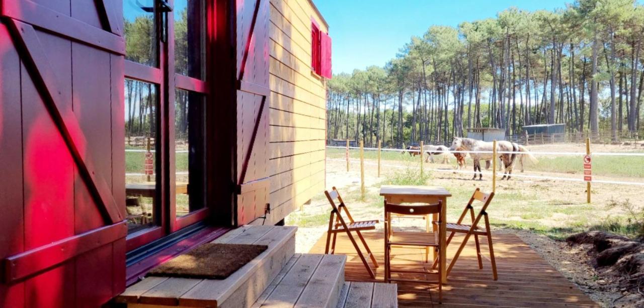 Roulottes Cocooning Au Coeur Des Landes Hotel Mees Exterior photo